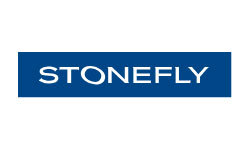 Stonefly