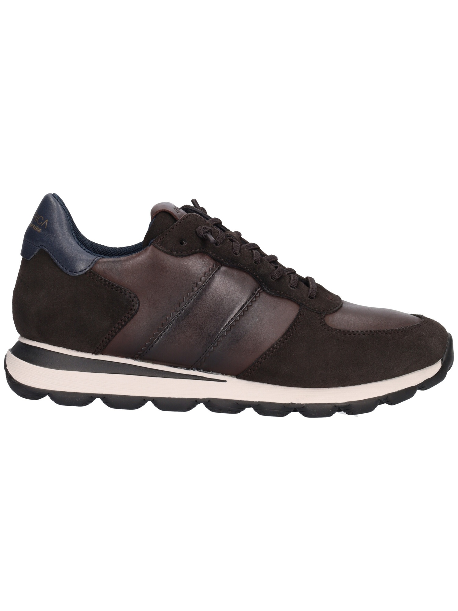 sneaker-geox-spherica-da-uomo-marrone