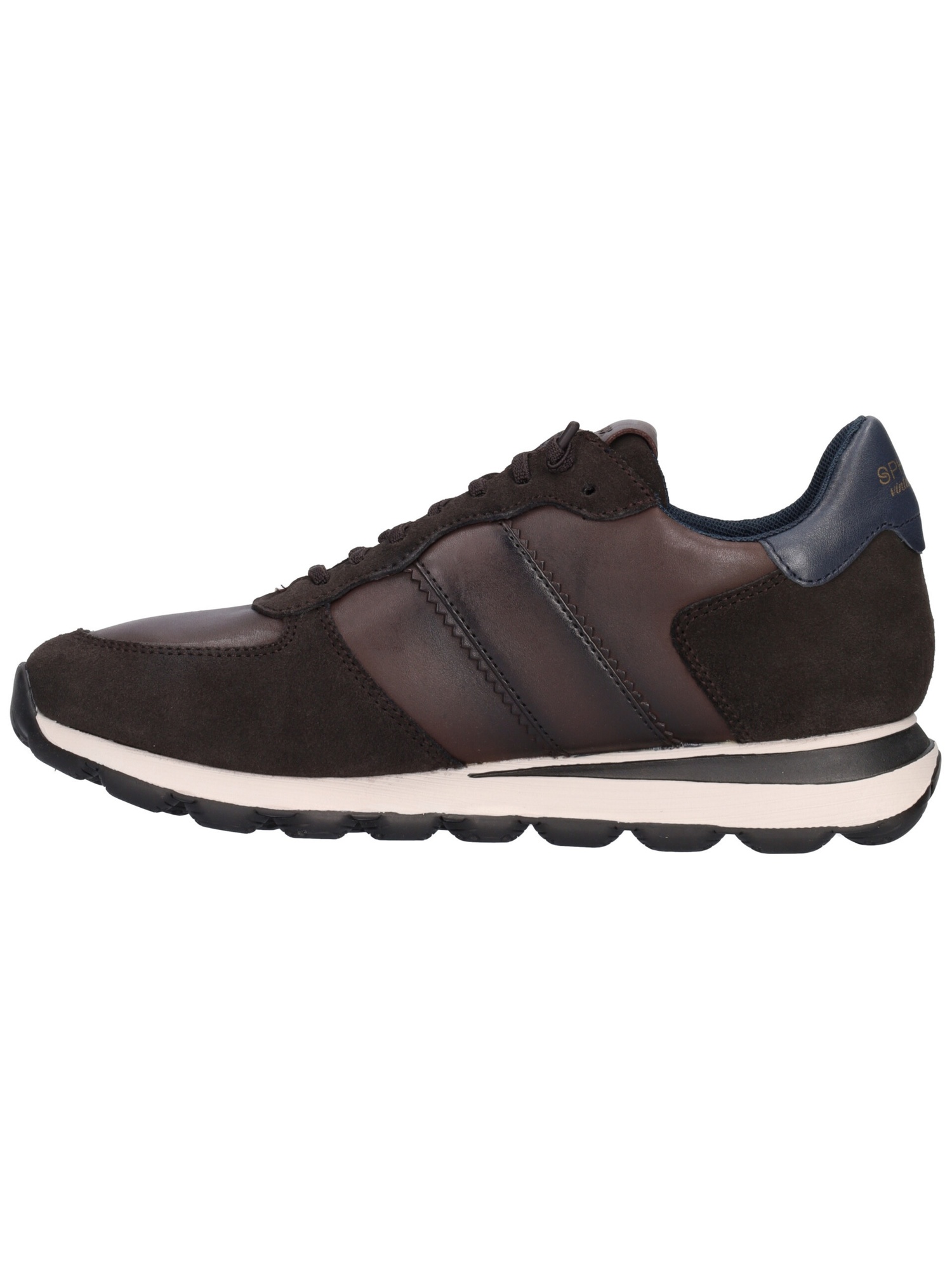 sneaker-geox-spherica-da-uomo-marrone