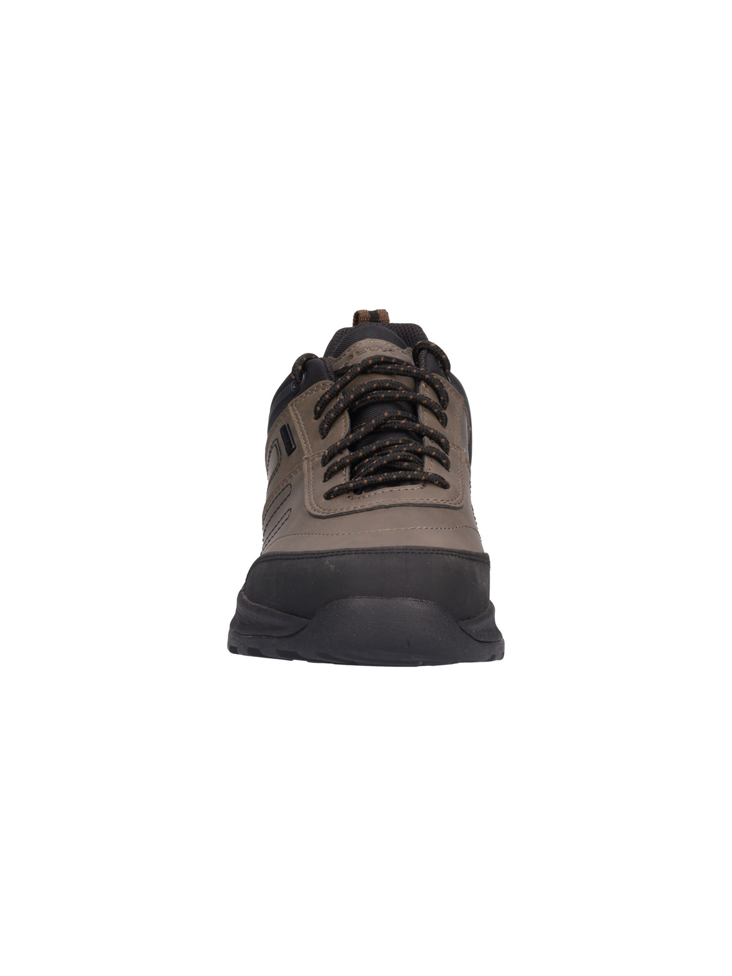 scarpa-casual-geox-terrestre-da-uomo-verde