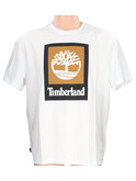 t-shirt a maniche corte timberland da uomo bianca