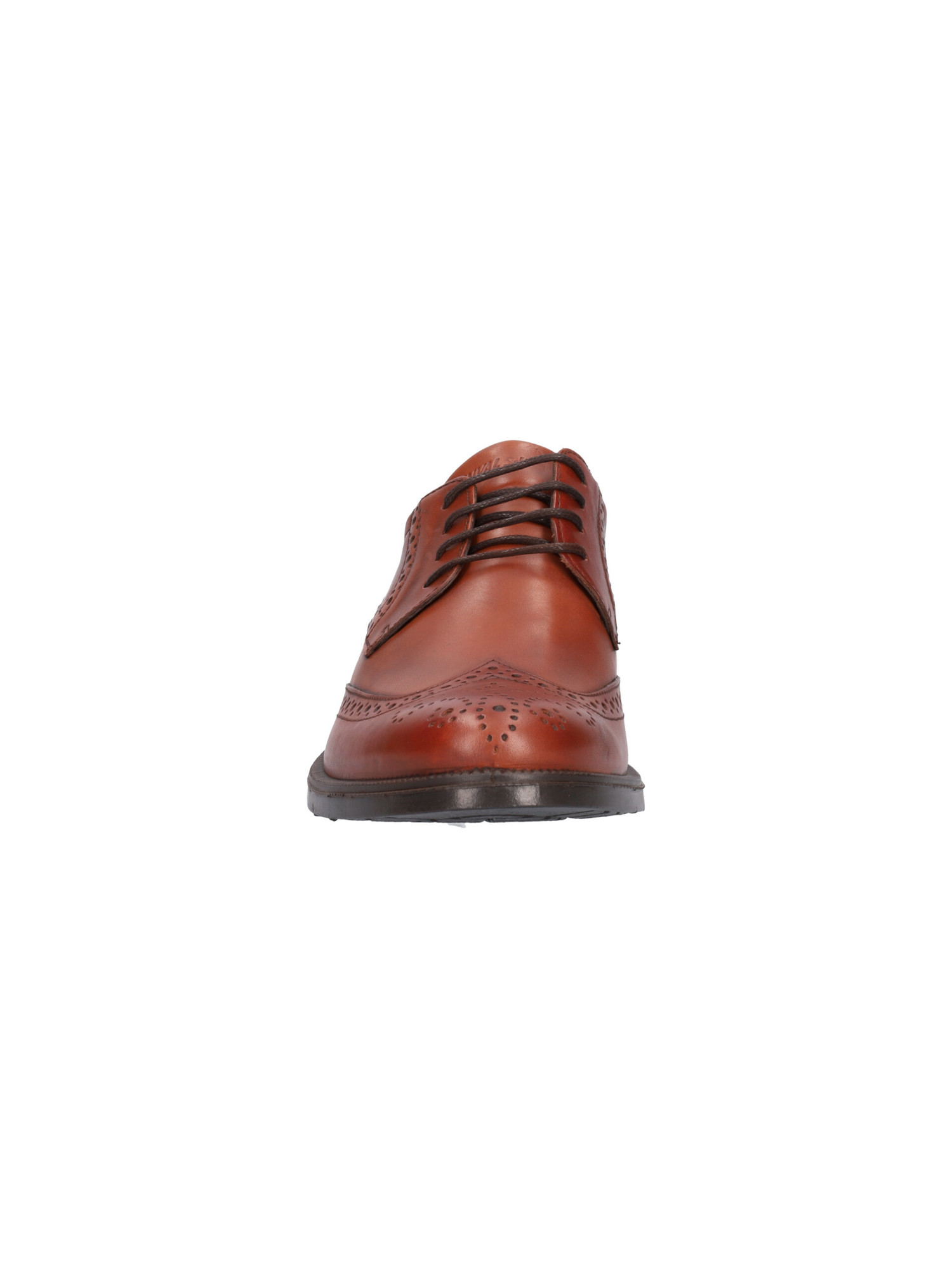 scarpa-stringata-enval-soft-da-uomo-marrone-74463d